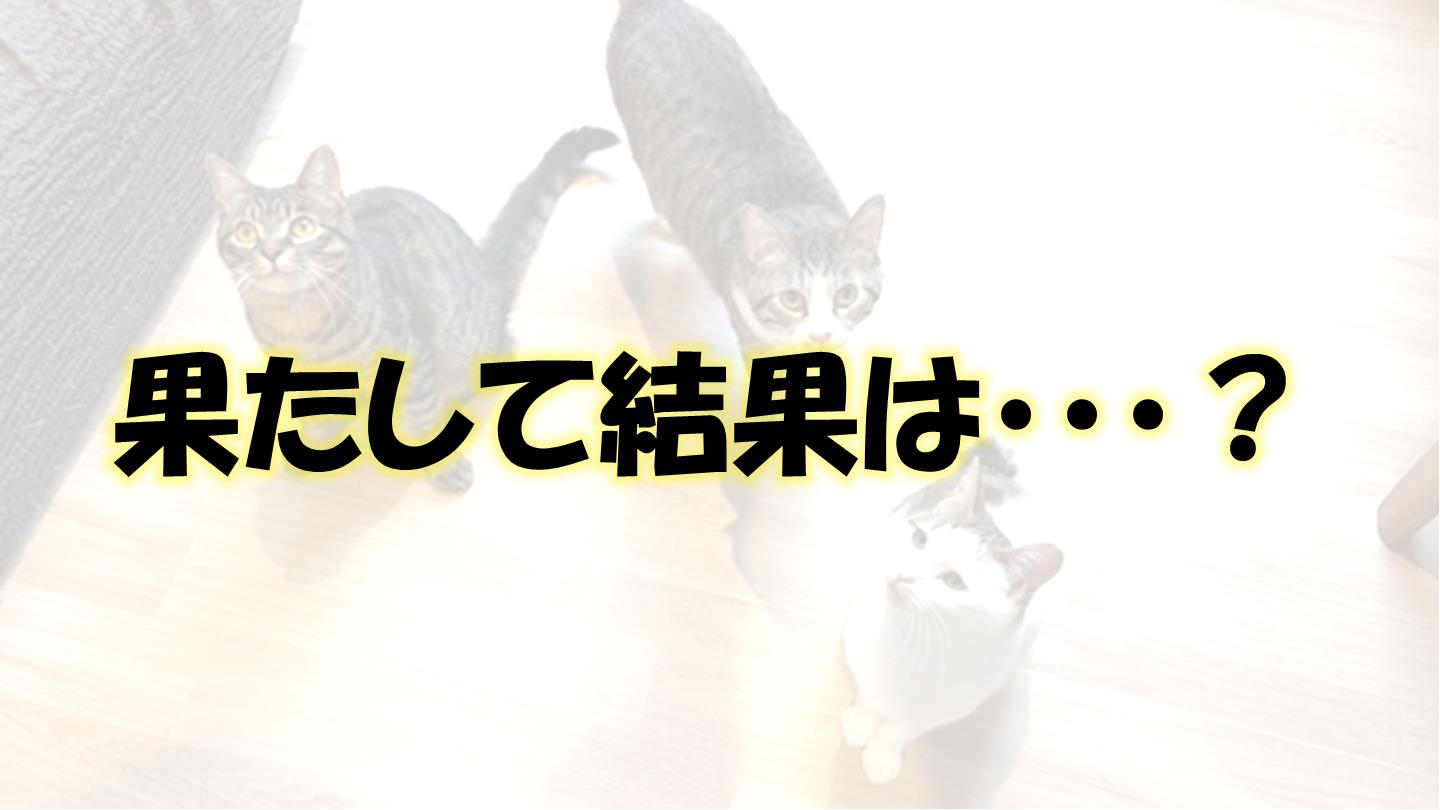 知育玩具
