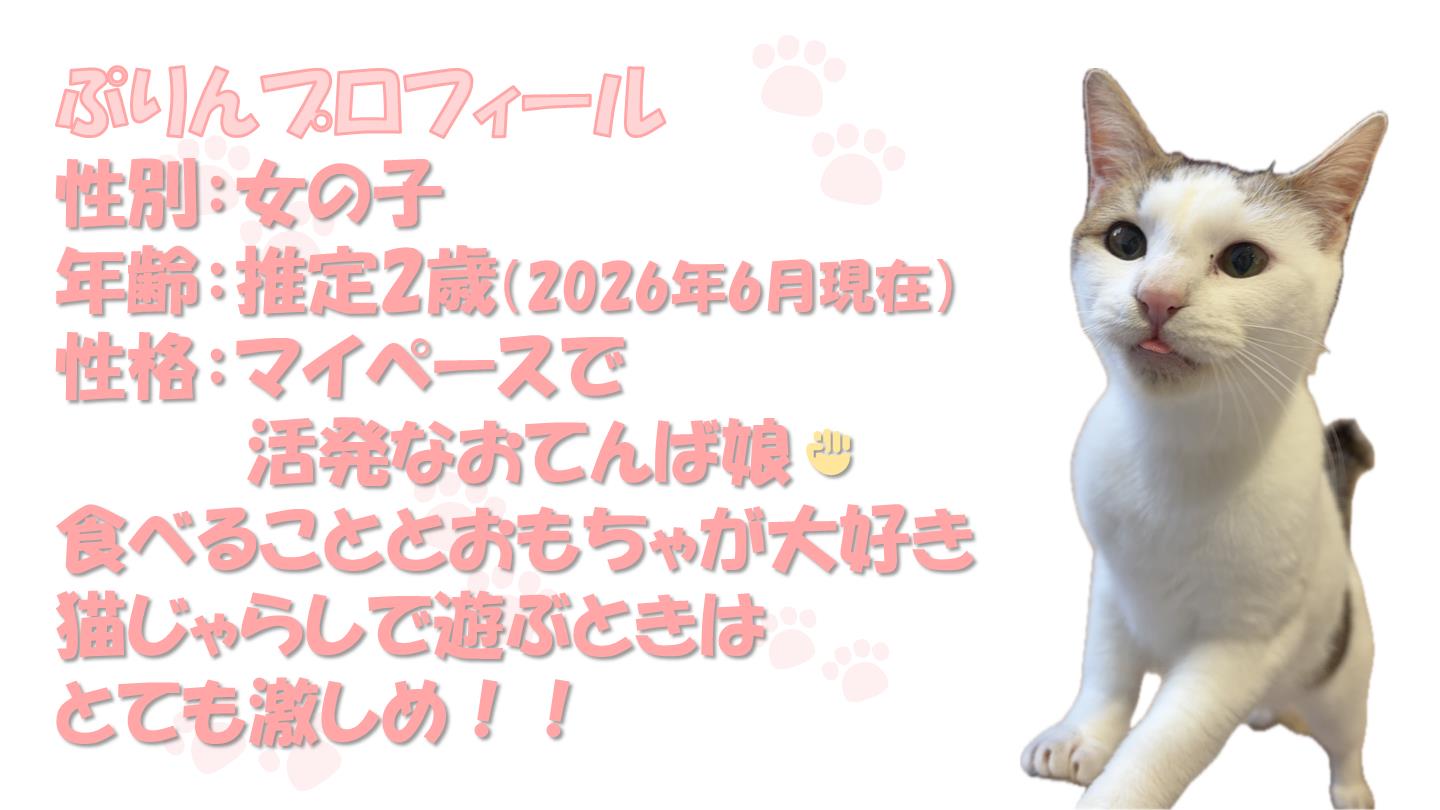 ぷりん