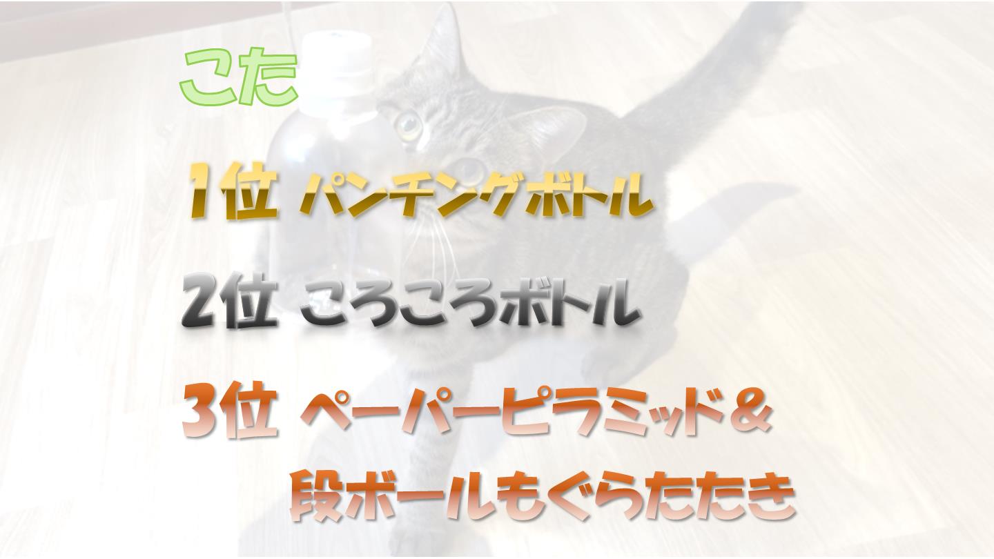 こた2