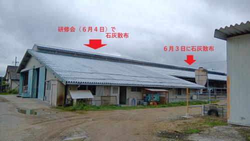 石灰散布４日後の屋根