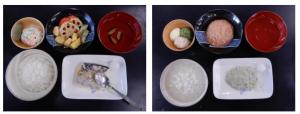 凍結含浸技術の商品化事例