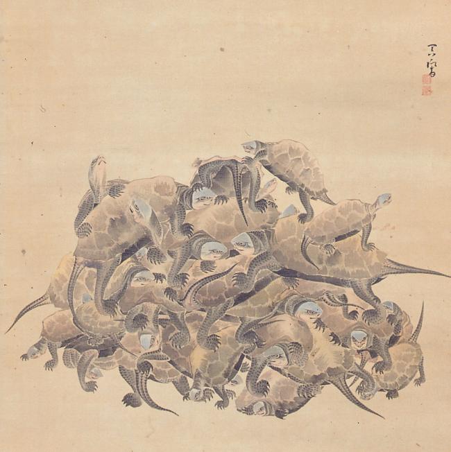 大原吞響画「百亀図（部分）」の画像