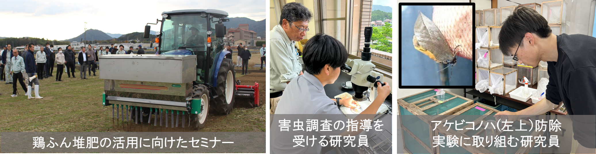 142号の巻頭写真