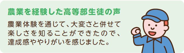 高等部の生徒の声２