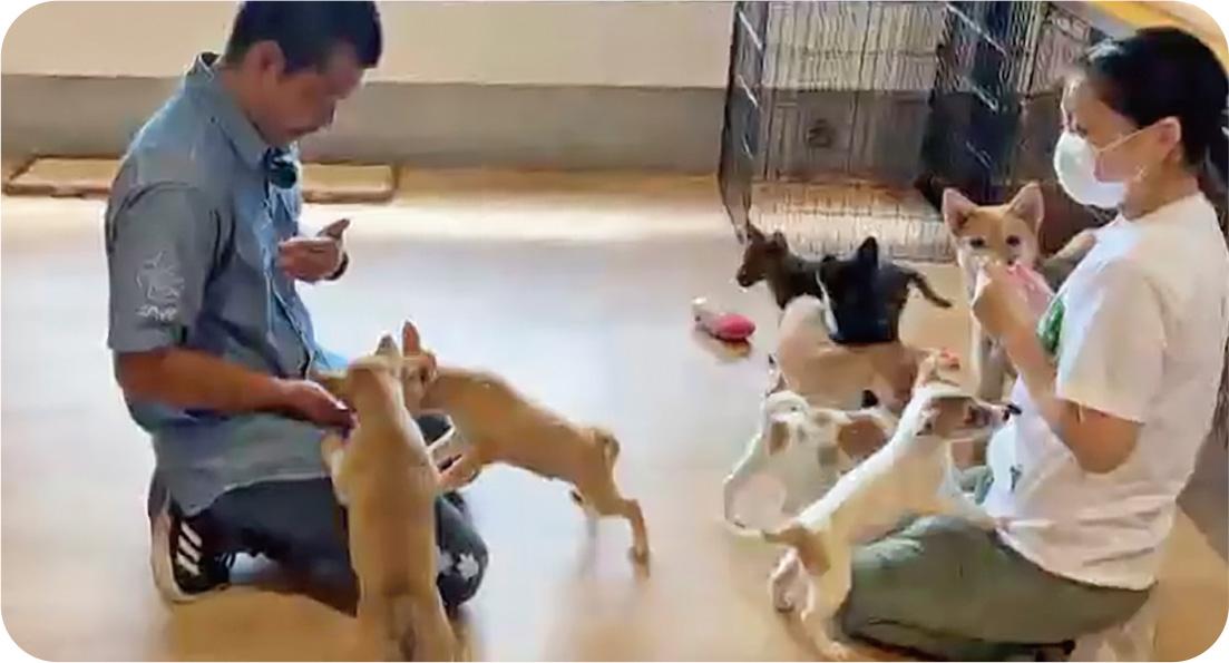 動物愛護センターの画
