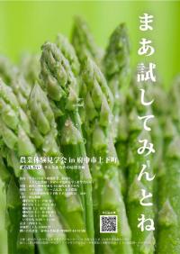 府中市アスパラガス体験会