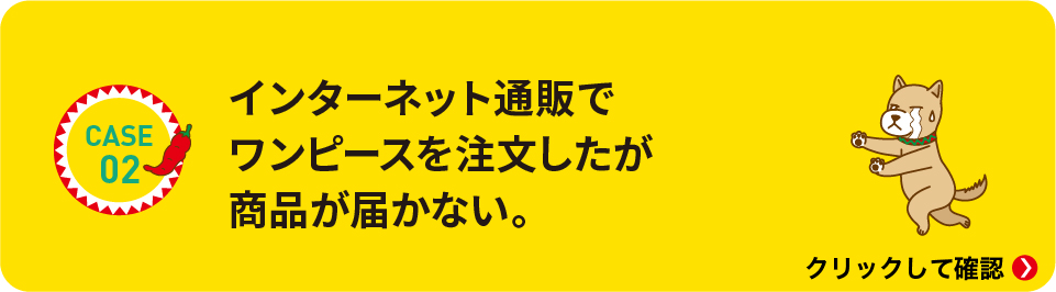 インターネット通販でワンピースを注文したが、商品が届かない。