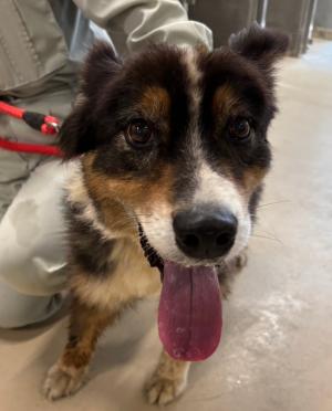 迷い１