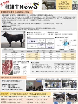 種雄牛News30号