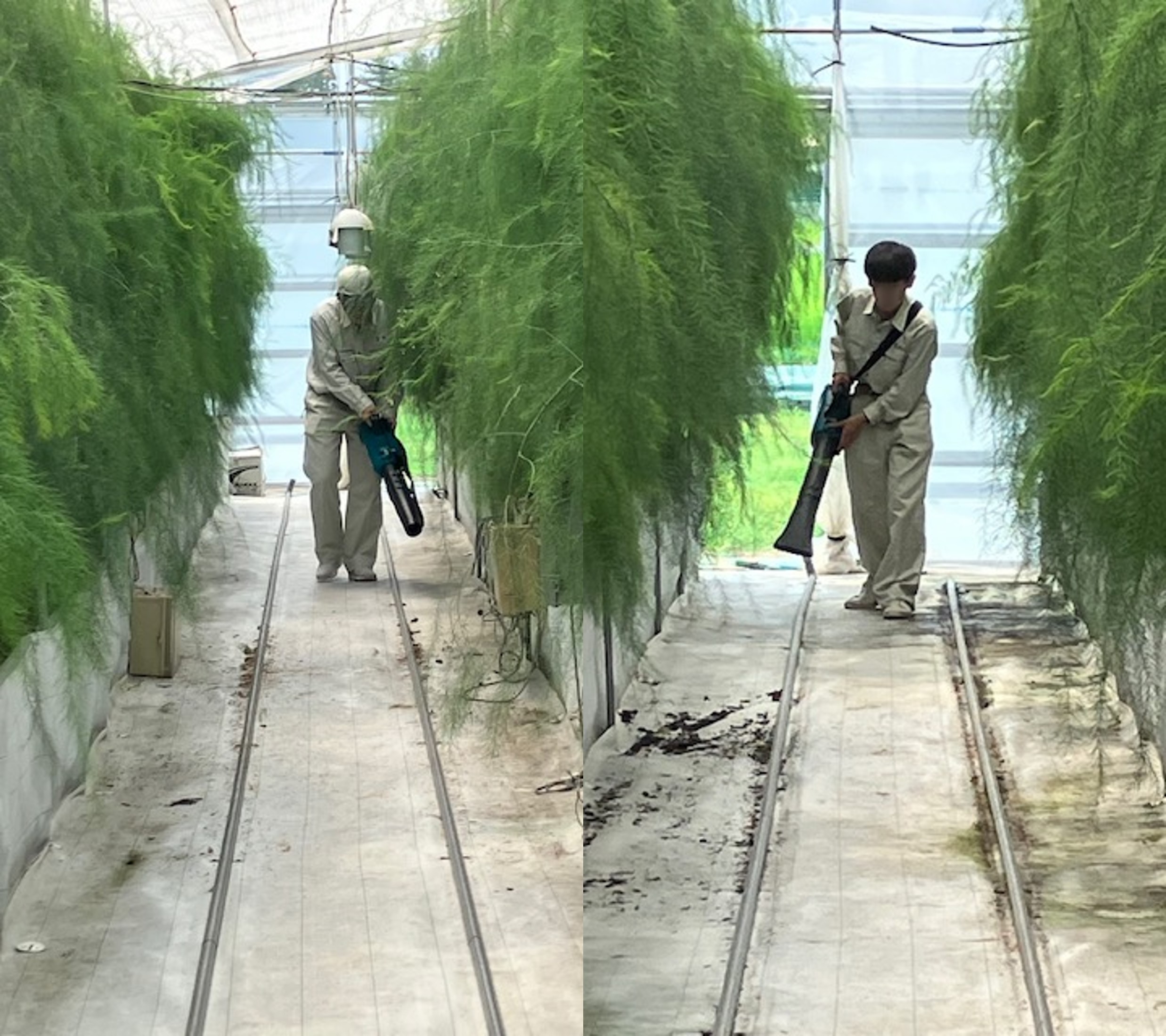 作業の様子