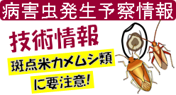 キャラクター