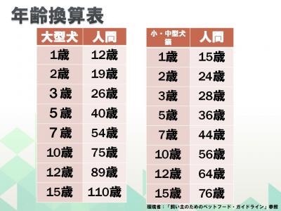 年齢換算表