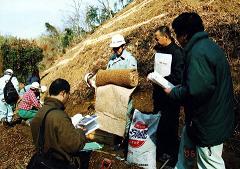植林技術　現地研修の写真１