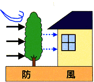 防風の画像