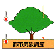 都市気象調節の画像