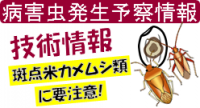 キャラクター