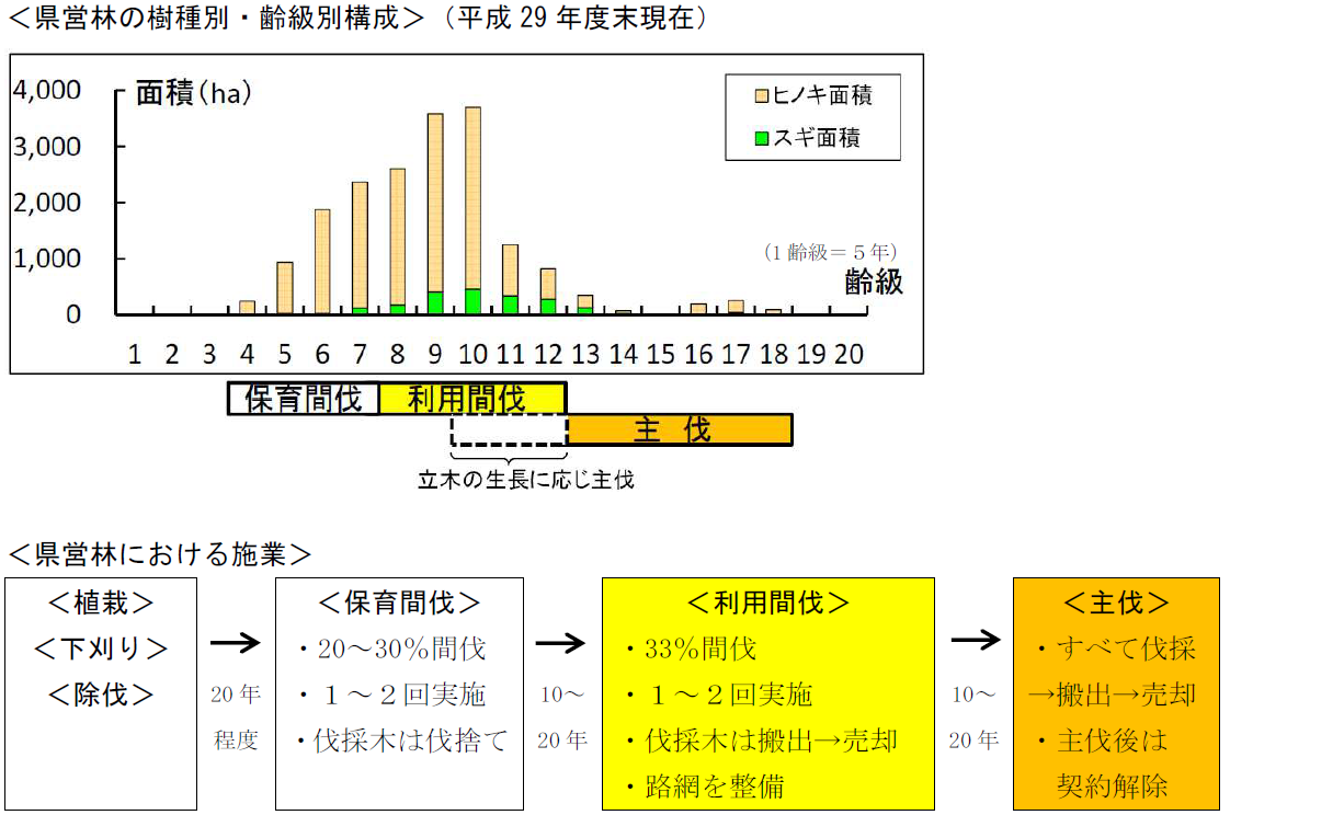 画像(県営林の樹種別・齢級別構成及び県営林における施業)