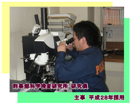 科捜研